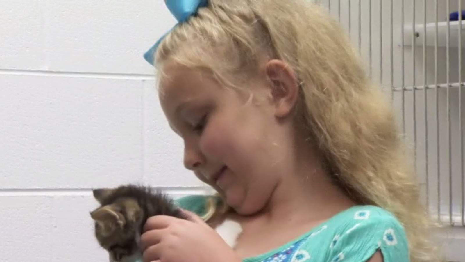Helping shelter pets: Local 6-year-old chooses the gift of giving for her birthday