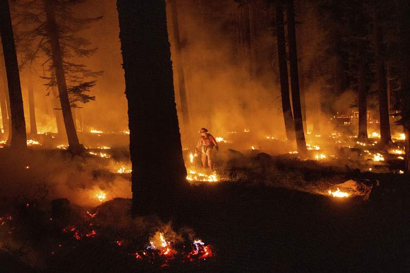 Record wildfire burns amid drought on Hawaii's Big Island