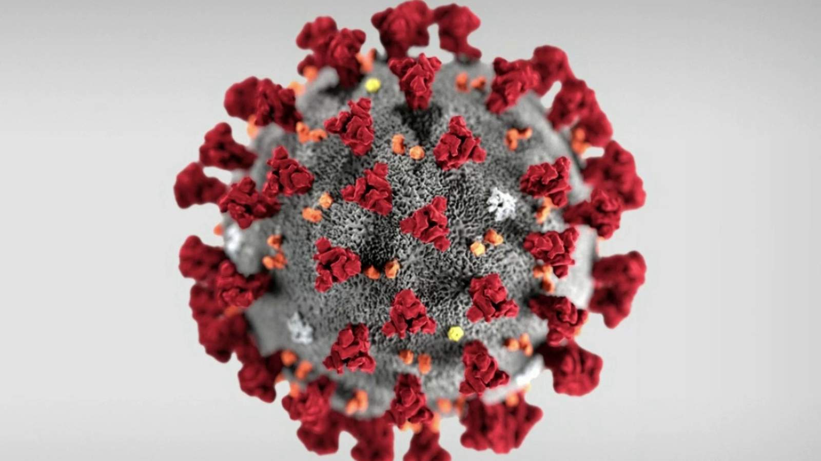 Galax, Washington County reporting new coronavirus cases