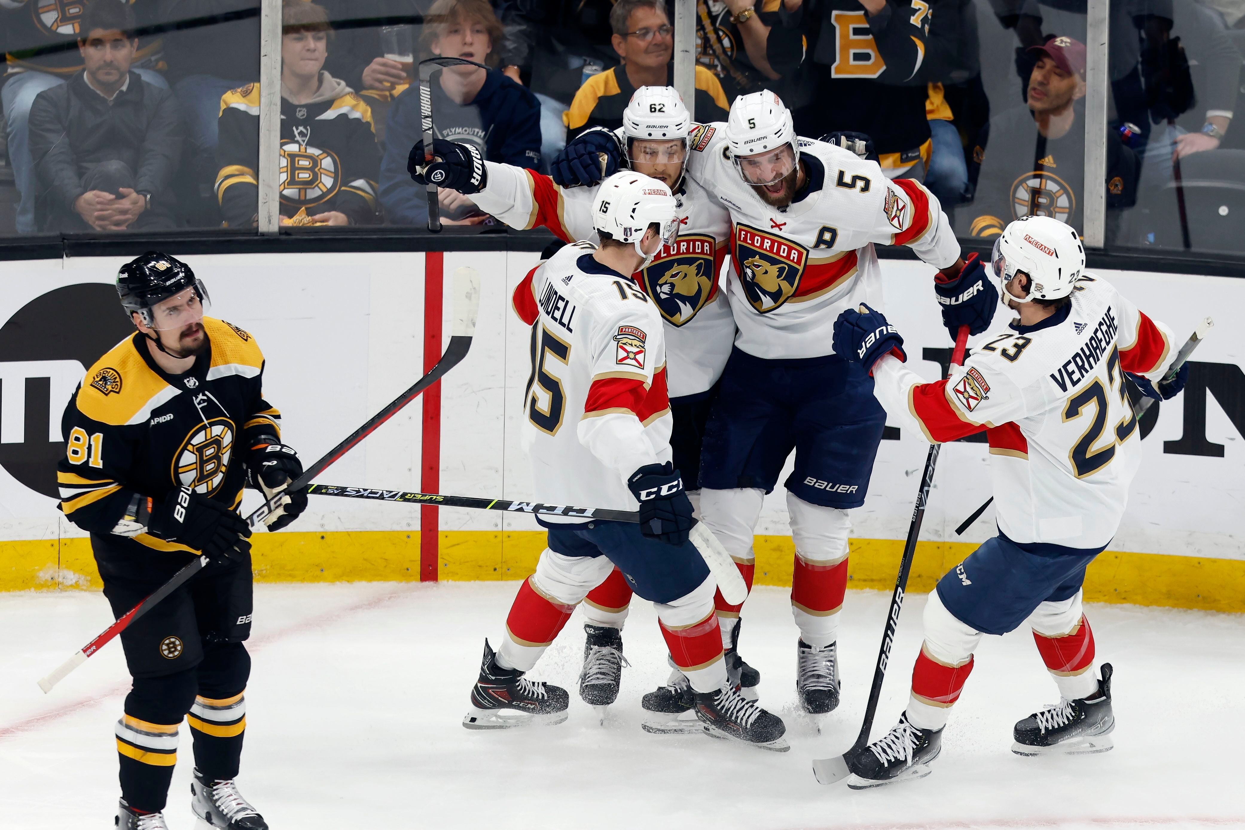 Florida Panthers host breast cancer awareness night against the Tampa Bay  Lightning