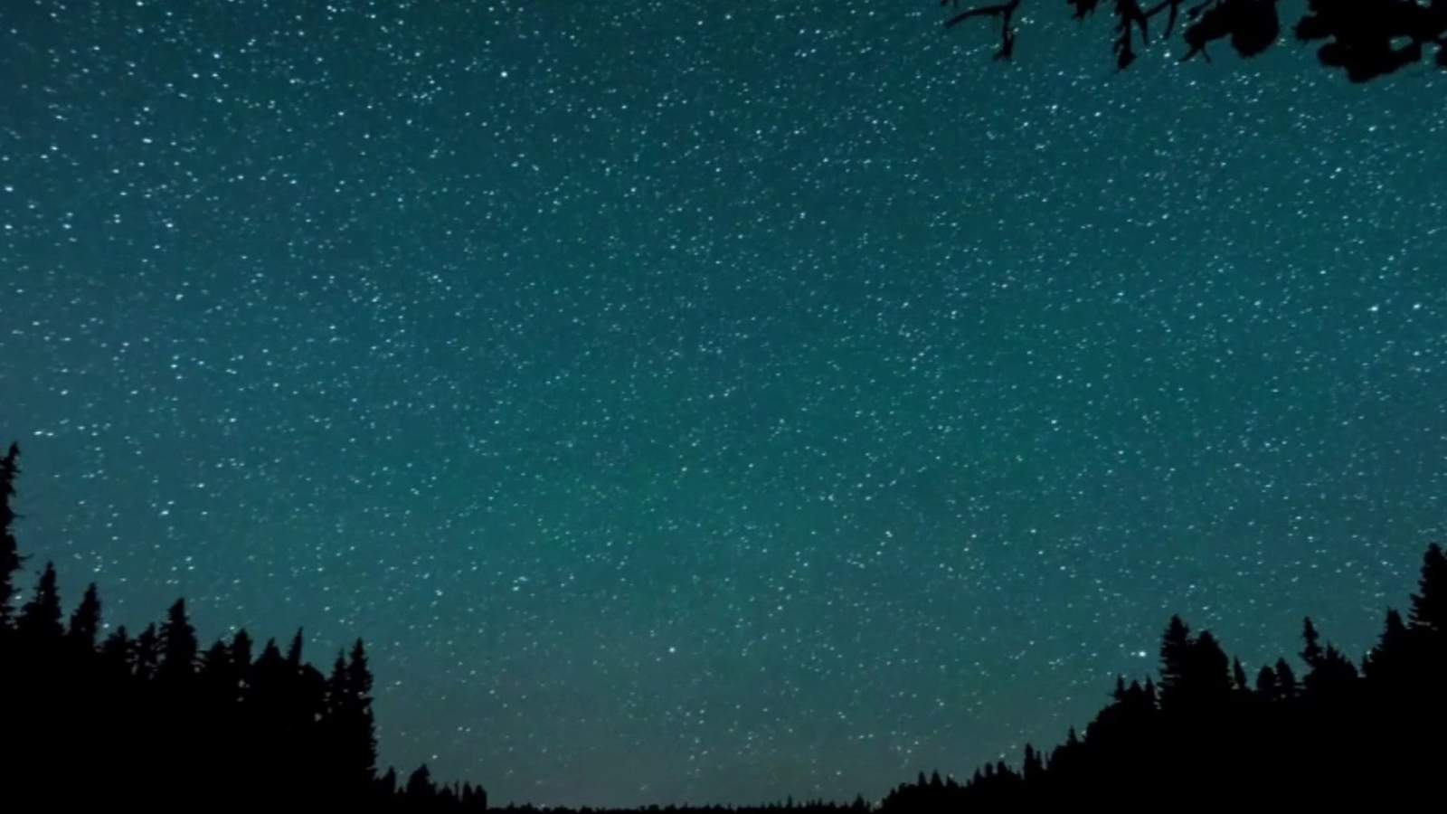 Perseid meteor shower to peak on Tuesday night