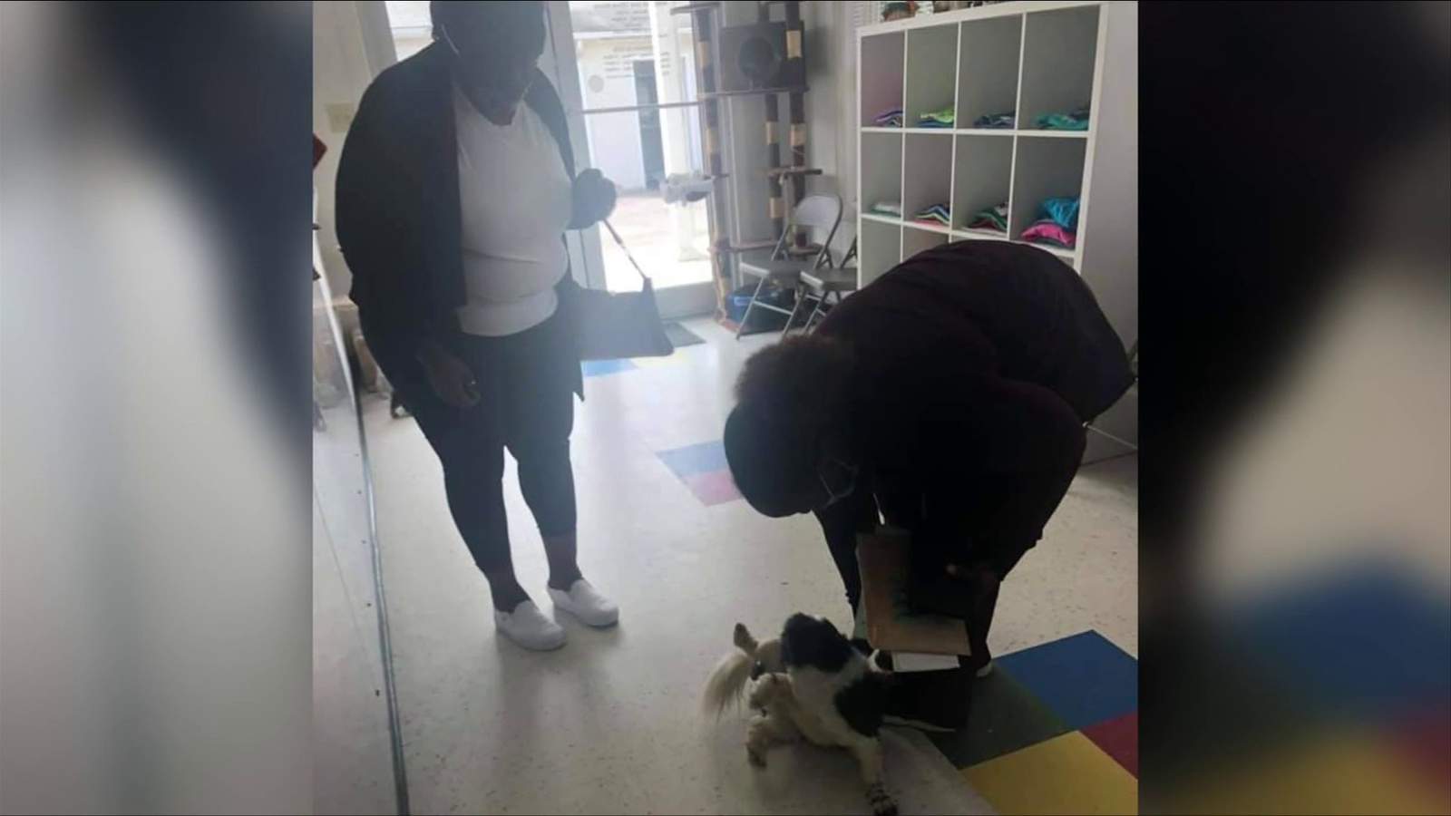 Missing dog found in Danville reunited with owner from New Jersey