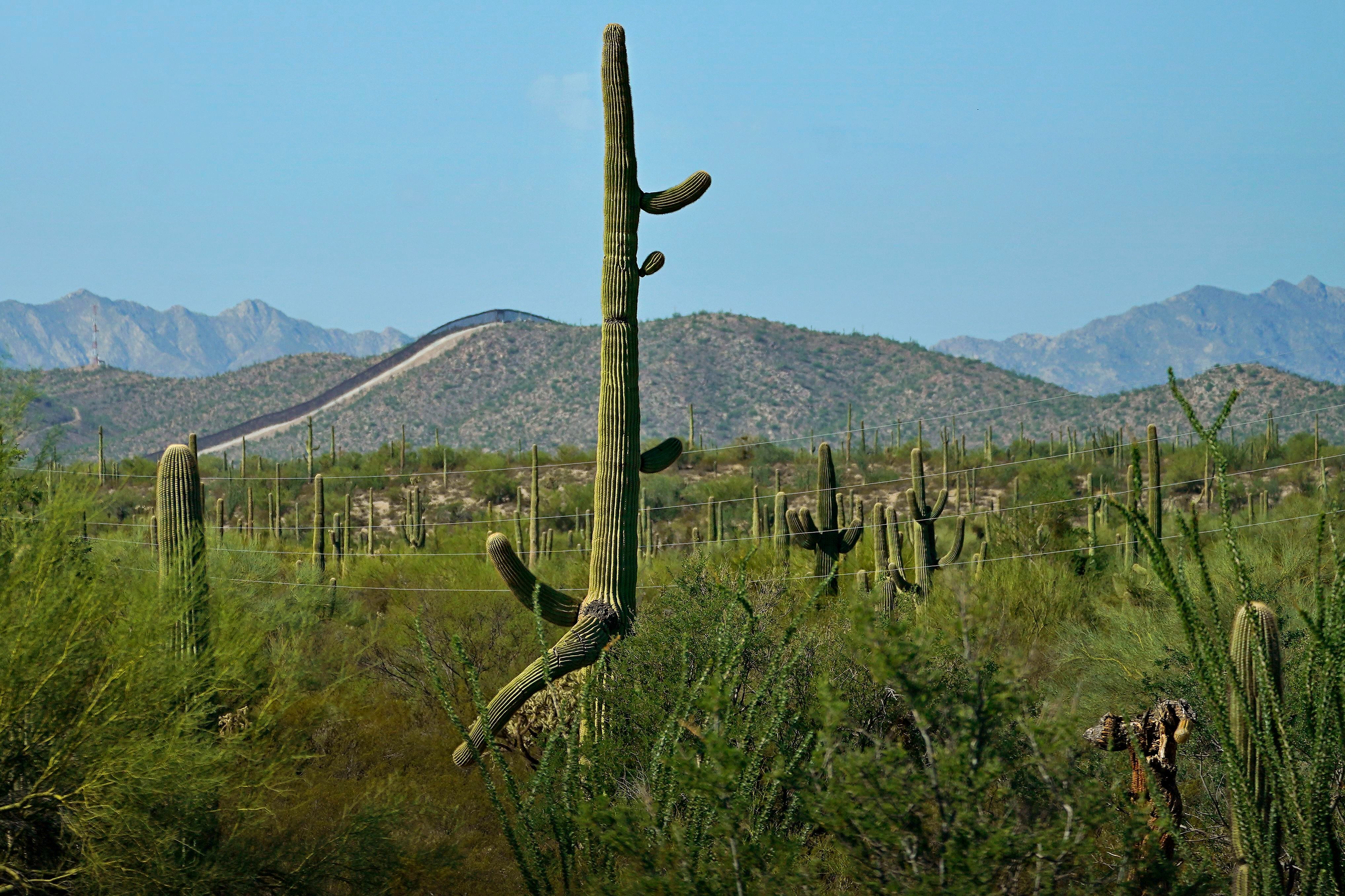 Smugglers are steering migrants into the remote Arizona desert