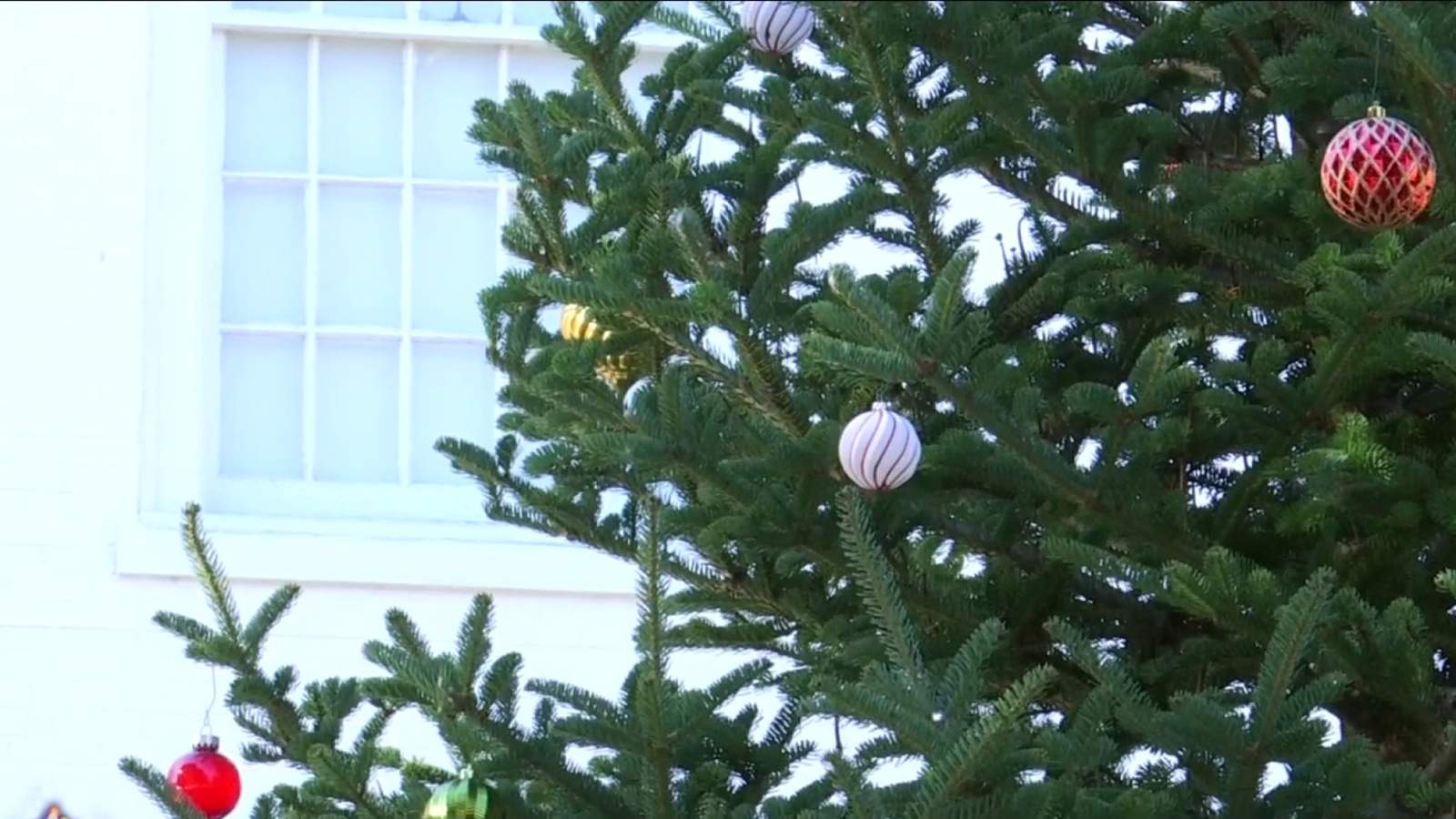 Roanoke’s Grandin Village welcomes holiday season with community Christmas tree